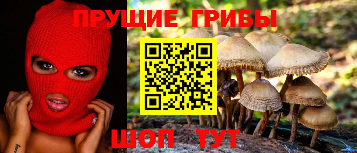 Псилоцибиновые грибы мухоморы Краснокаменск